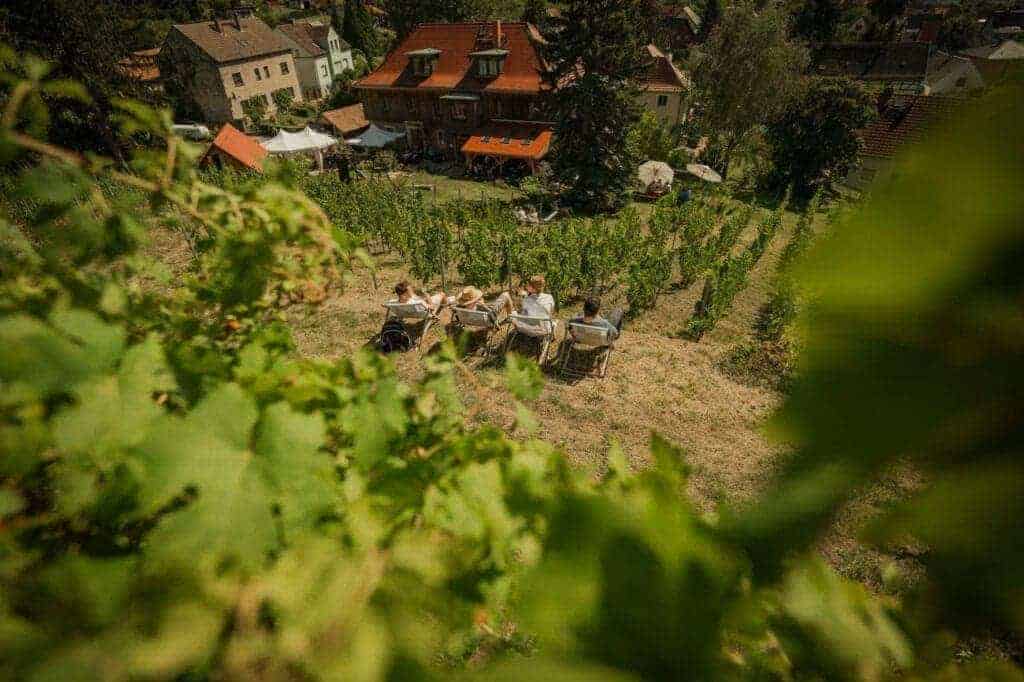 Weingüter Marieberg