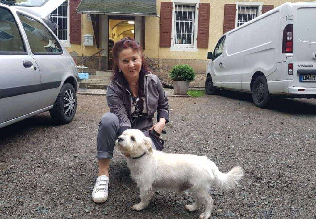 Tierheim Katzen Hunde