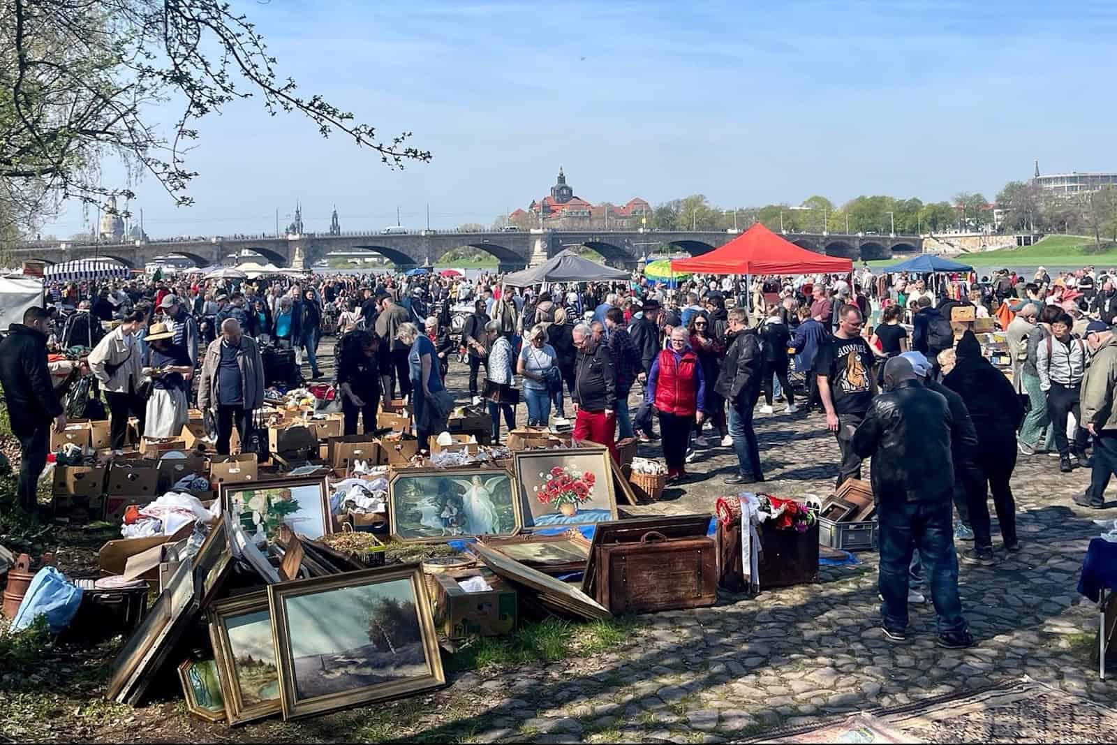 eine Menge von Menschen, die um einen Baum stehen