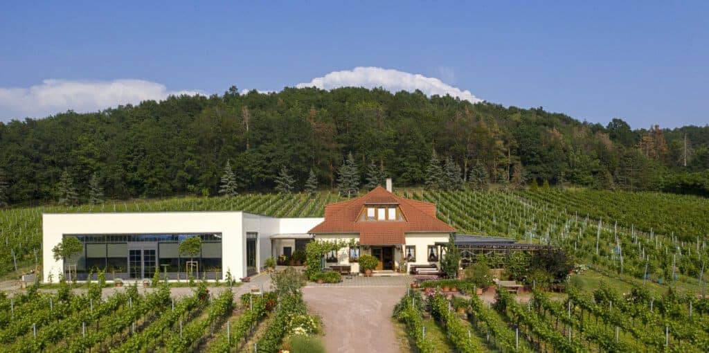 Weingut Mátyás