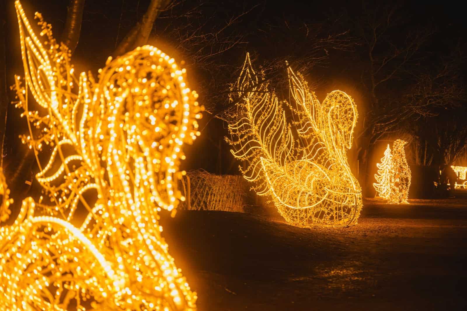 Der Sonnenlandpark in Lichtenau zeigt sich seit vielen Jahren in der Winterzeit von seiner romantisch-illuminierten Seite. Foto: PR