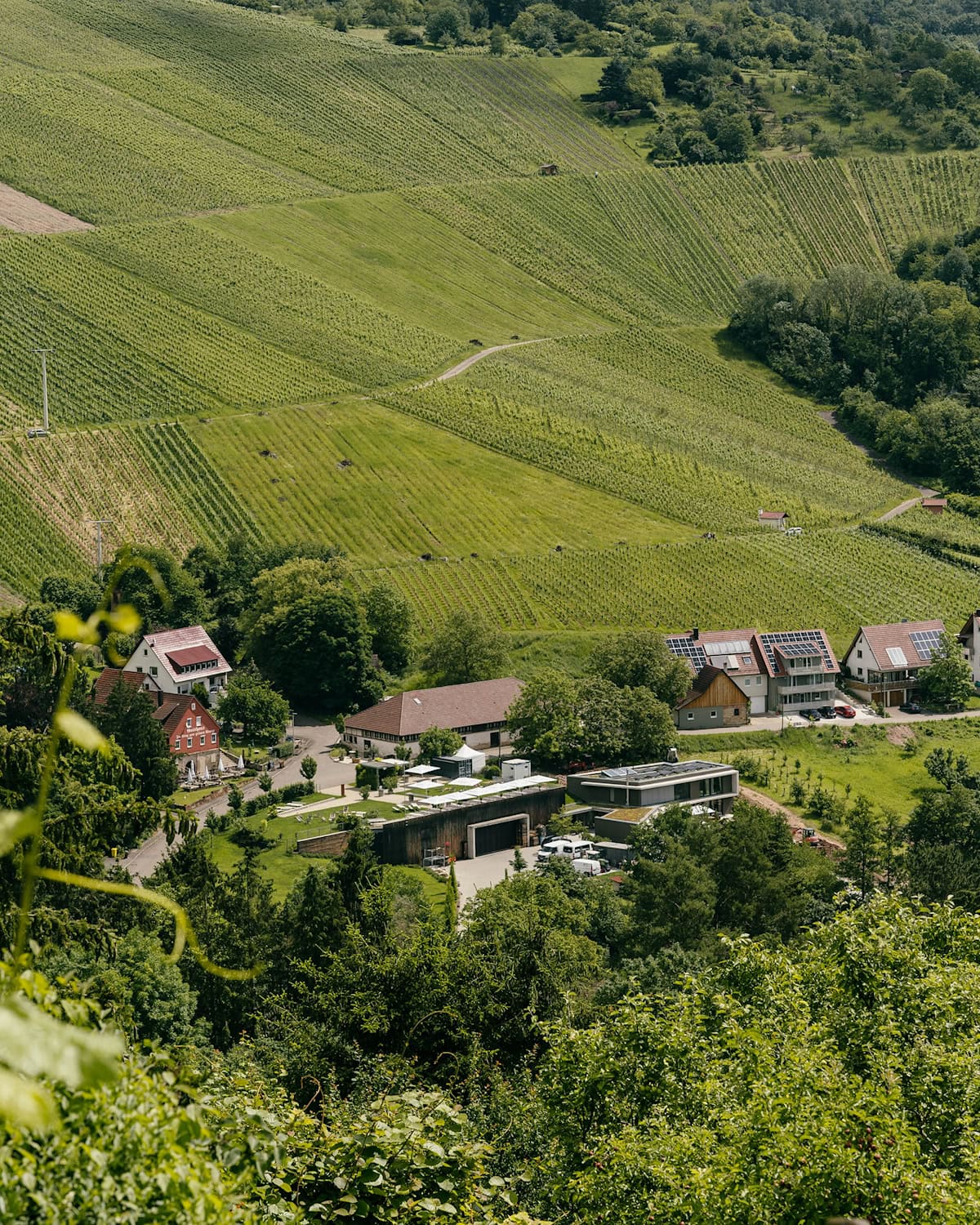 Blick auf das Weingut von Winzer Leon Gold. Foto: PR