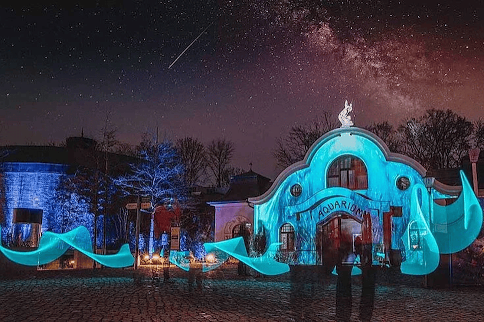 Magisches Tropenleuchten im Leipziger Zoo. Foto: Zoo Leipzig