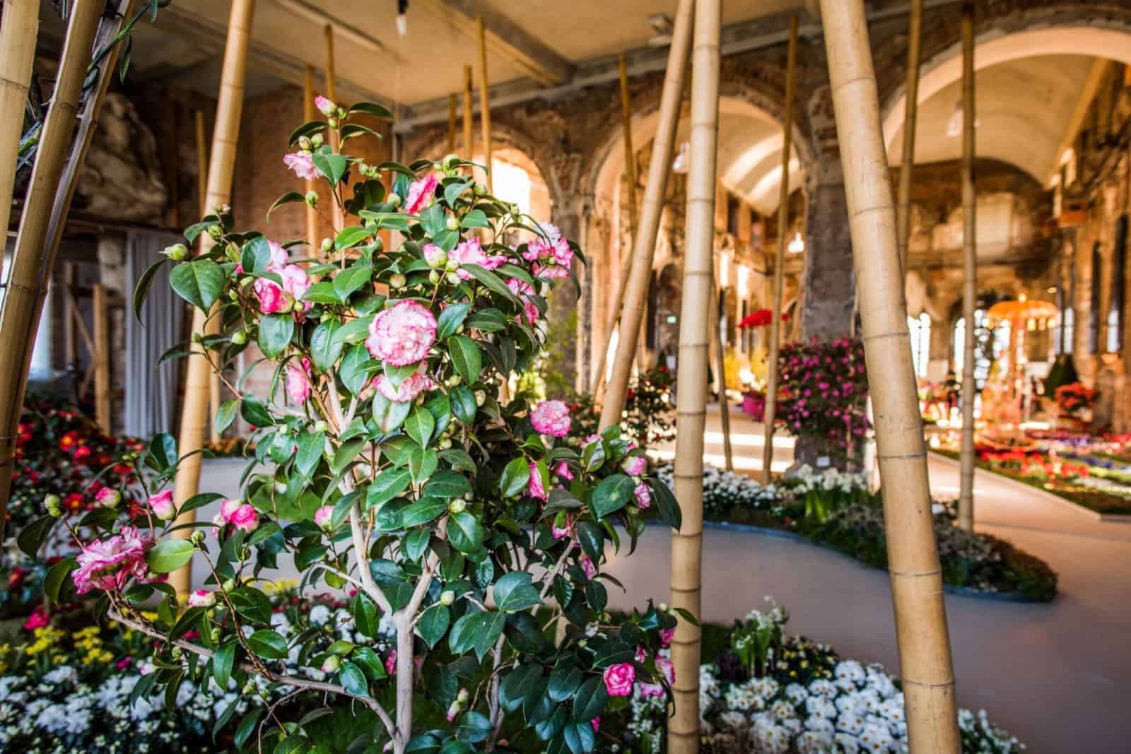 Impression vom "Dresdner Frühling 2016" im Palais im Großen Garten. Foto: Sebastian Thiel 