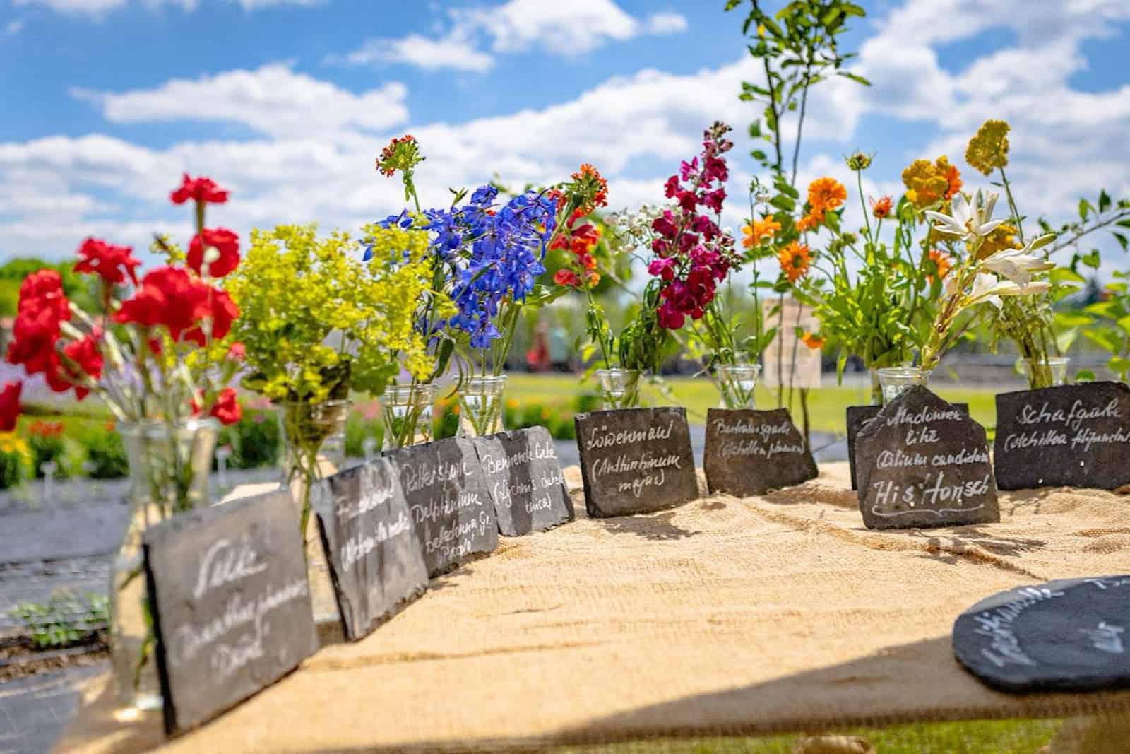 Beim Tag der offenen Gärtnerei und beim Pillnitzer Gartentag finden Gartenfreunde reiche Inspiration. Foto: LfULG