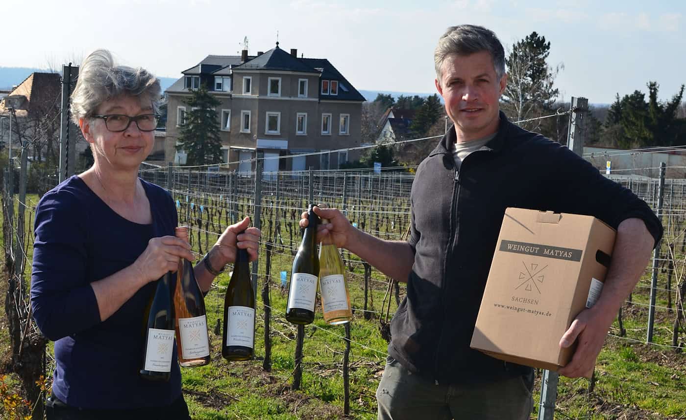 Das Weingut Matyas lädt zur Jungweinprobe ein. Foto: PR