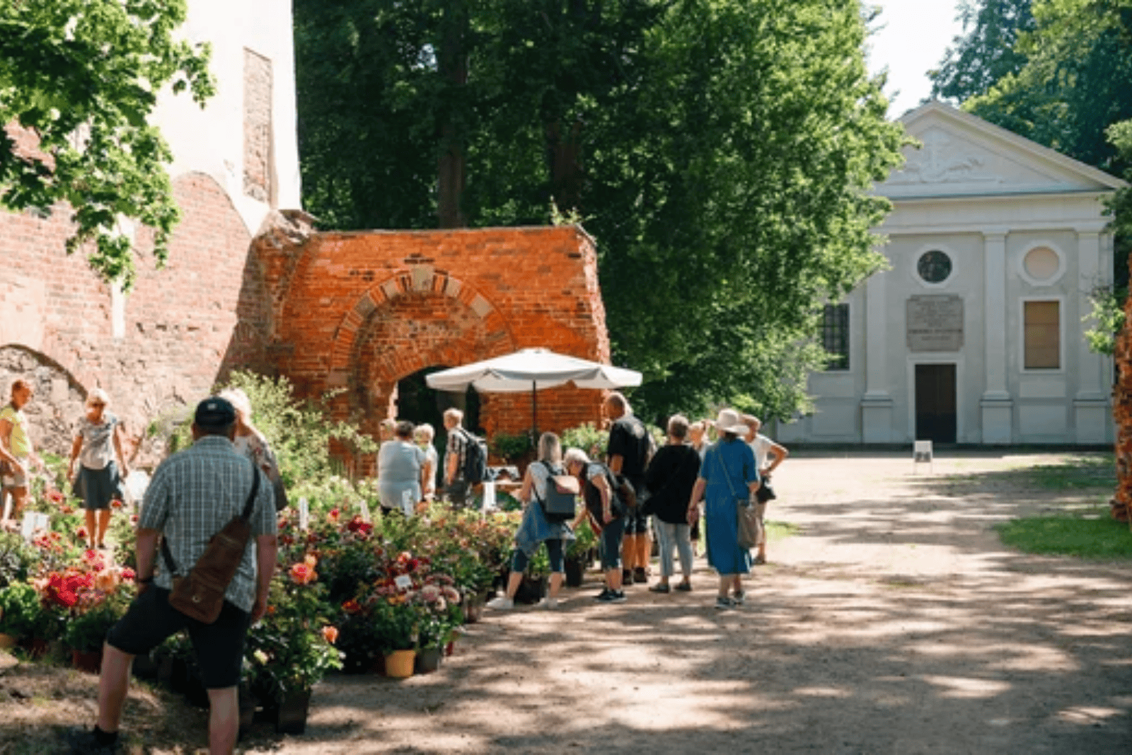 Am letzen Juniwochenende verwandelt sich der Klosterpark Altzella in ein Blumenparadies. Foto: PR 