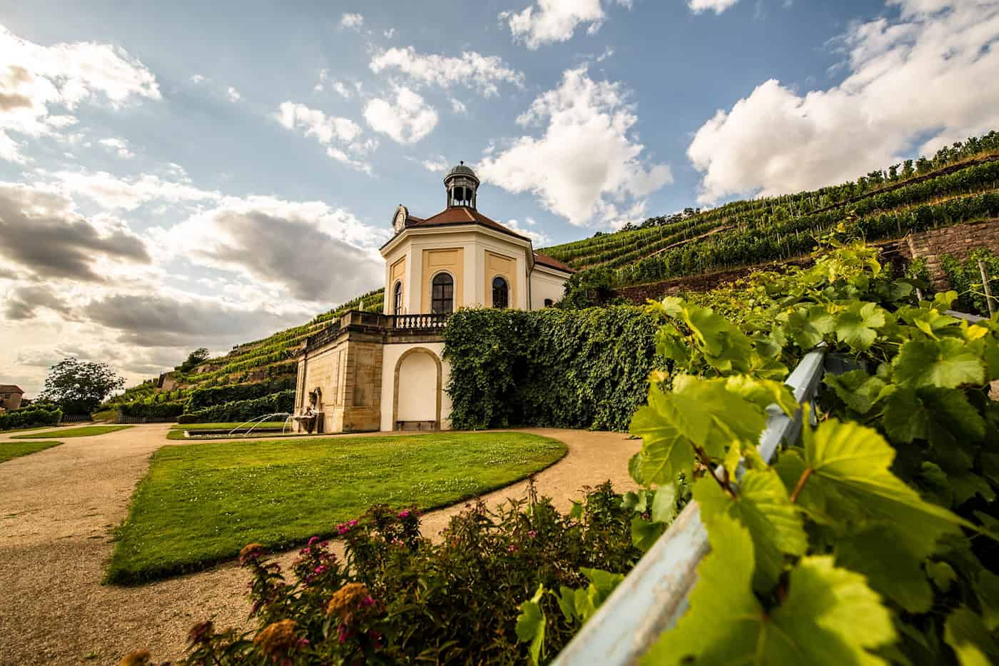 Auf Schloss Wackerbarth können Sie Wein genießen - und einen blühende Agave bestaunen. Foto: Martin Förster (DML-BY) 