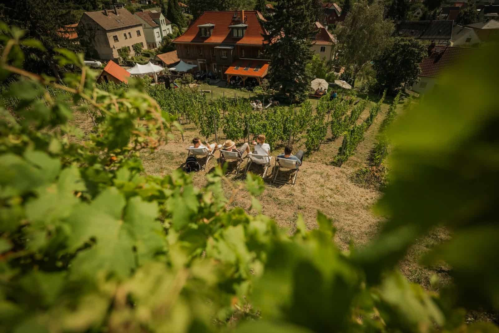 Genießen Sie die Tage des offenen Weingutes - Blick auf das Weingut Mariaberg. Foto: Tourismusverband Elbland