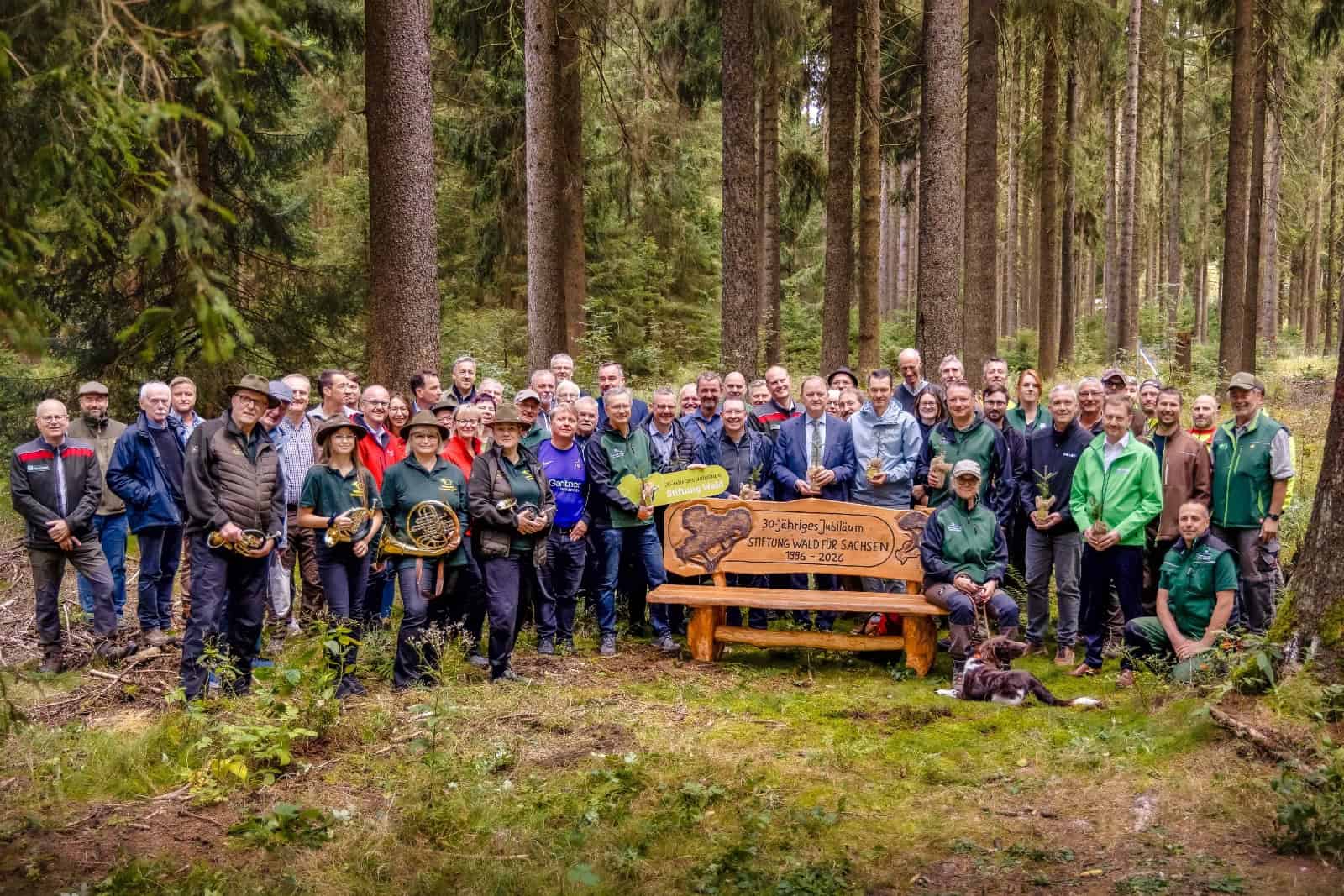 Die Stiftung Wald in Sachsen blickt auf eine 30-jährige Erfolgsgeschichte. Foto: Stiftung Wald für Sachsen/Tobias Wagner
