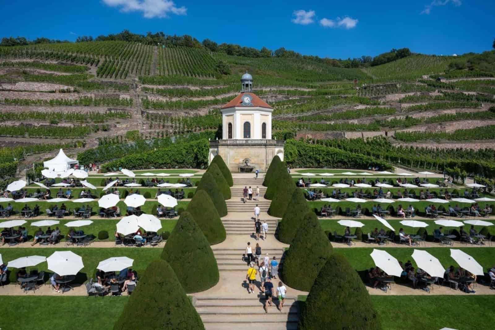 Schloss Wackerbarth lädt zum Federweißer-Fest ein. Foto: Wackerbarth/C.I. Mocry