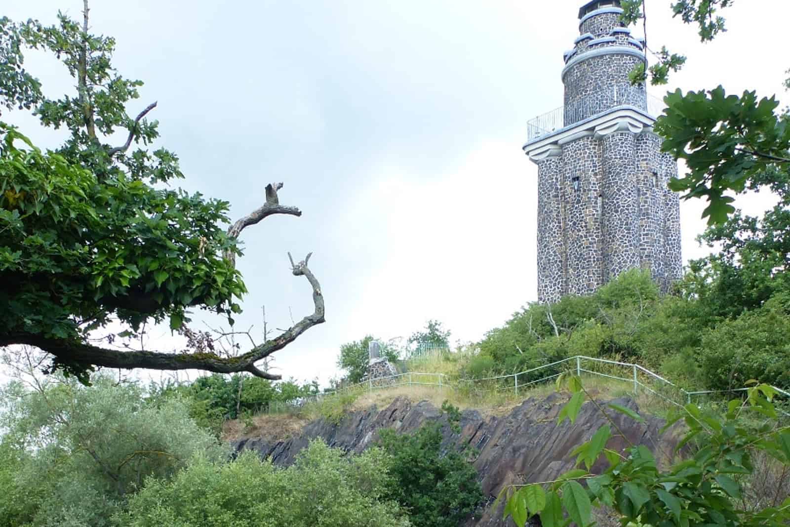 Der Wachtelberg bei Bautzen bietet Kuhschelle wie auch Kammmolch einen Lebensraum. Foto: regiocrowd.com  