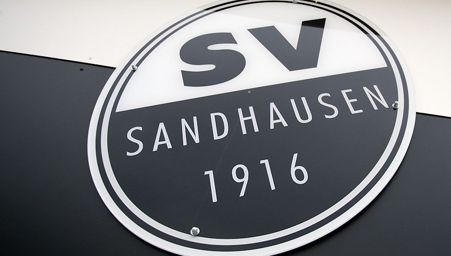 SV Sandhausen neuer Tabellenführer in VBL Club Championship