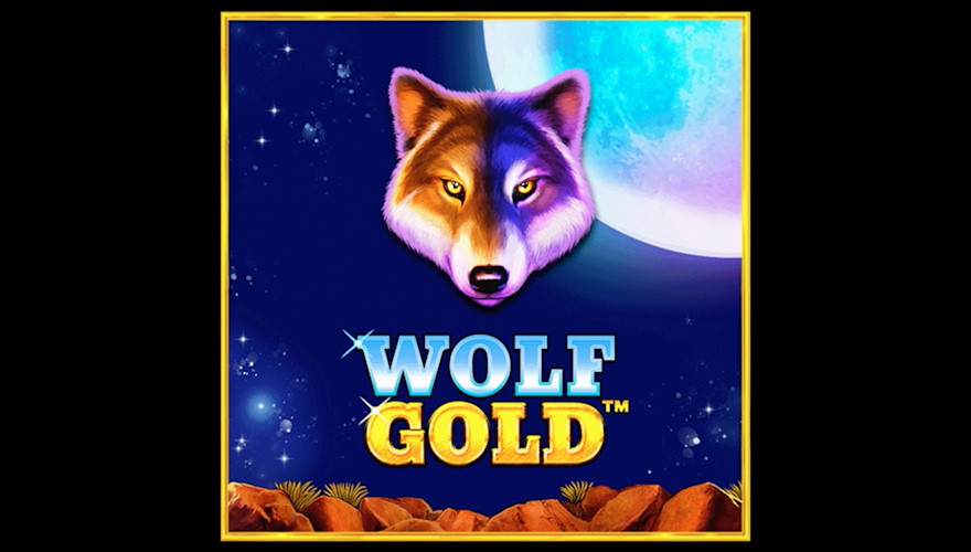 Gold Wolf - im Mondlicht mit den wilden Tieren