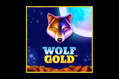 Gold Wolf - im Mondlicht mit den wilden Tieren