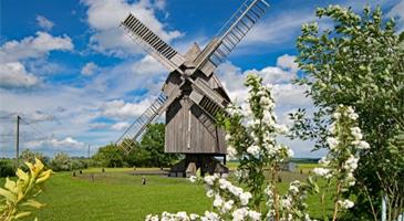 Montagsimpulse - Windmühle im Frühling / pixabay.com
