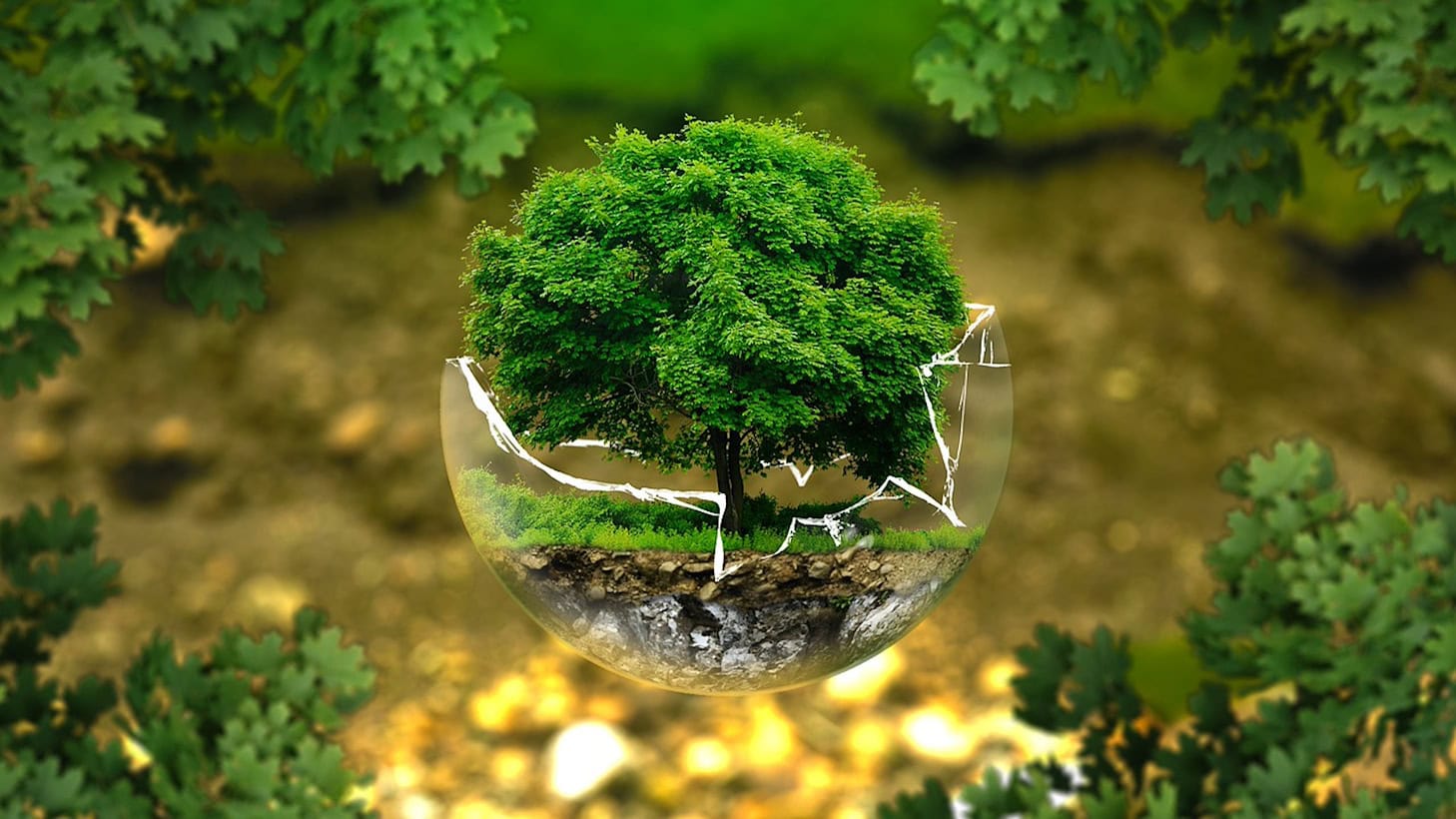 Testartikel Umwelt