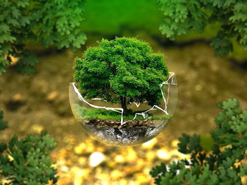 Testartikel Umwelt