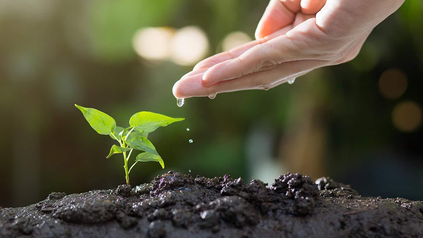 Testartikel Umwelt - KEIN TOP Thema
