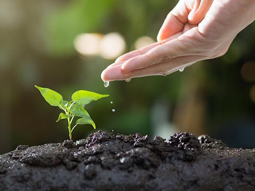 Testartikel Umwelt - KEIN TOP Thema