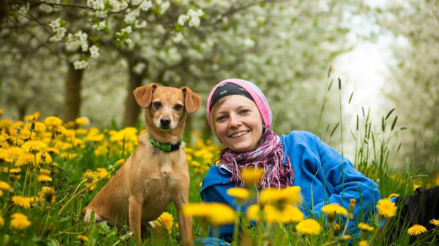 Testartikel Gesellschaft