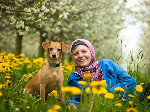Testartikel Gesellschaft
