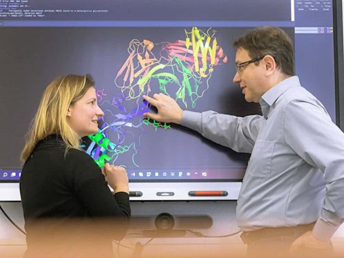 Gemeinsam gegen Viren: Clara Schoeder und Jens Meiler von der Universität Leipzig.