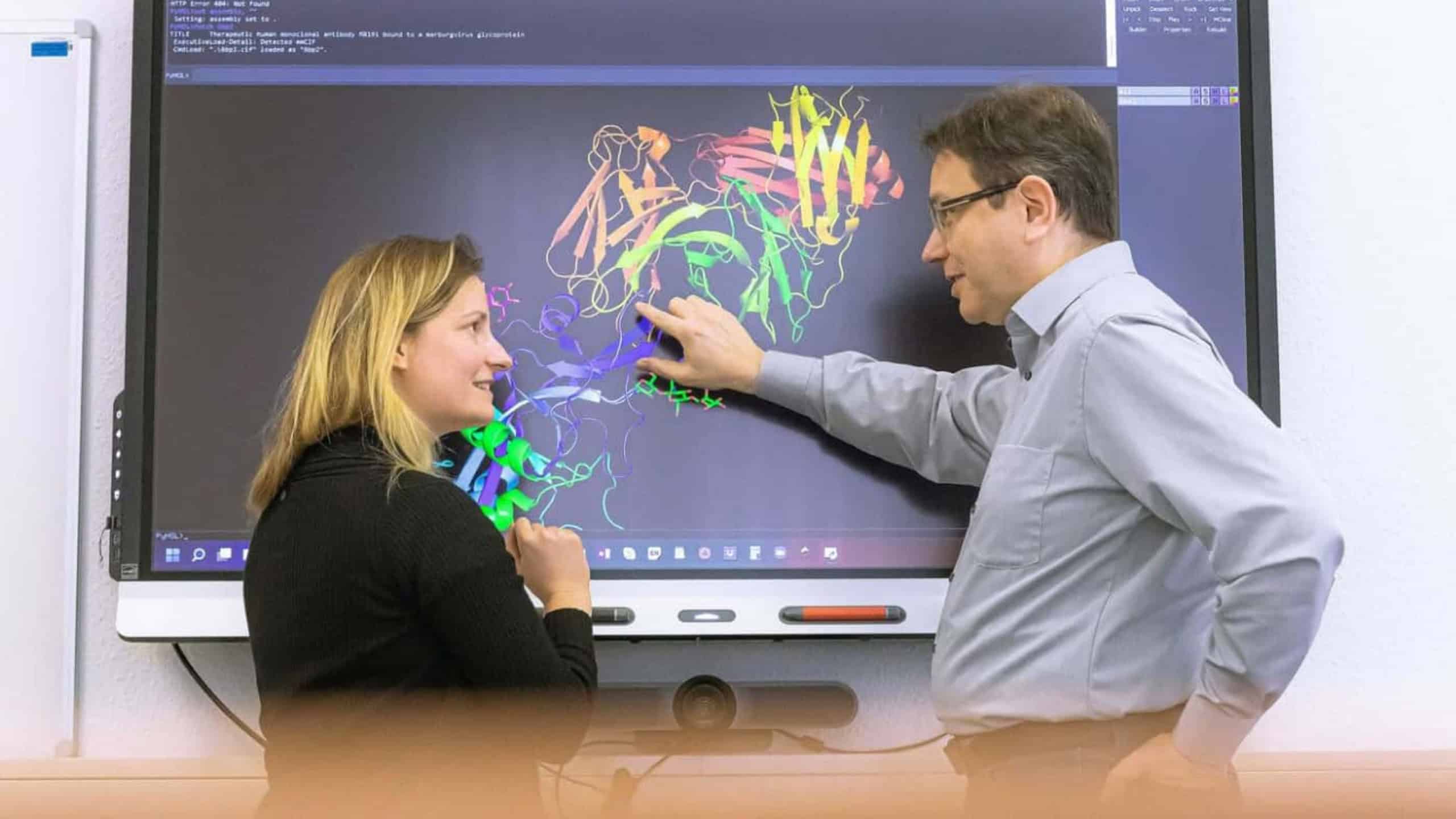 Gemeinsam gegen Viren: Clara Schoeder und Jens Meiler von der Universität Leipzig.