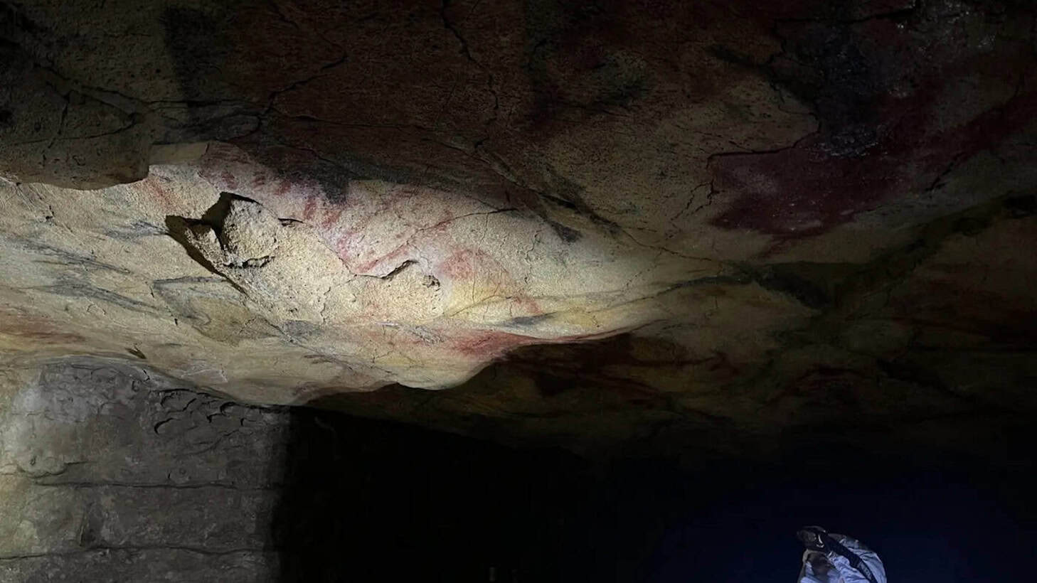 Die Höhlendecke von Altamira: Von hier stammen Pigmentproben, die auf uralte menschliche DNA untersucht wurden.
