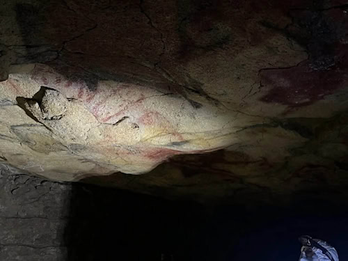 Die Höhlendecke von Altamira: Von hier stammen Pigmentproben, die auf uralte menschliche DNA untersucht wurden.
