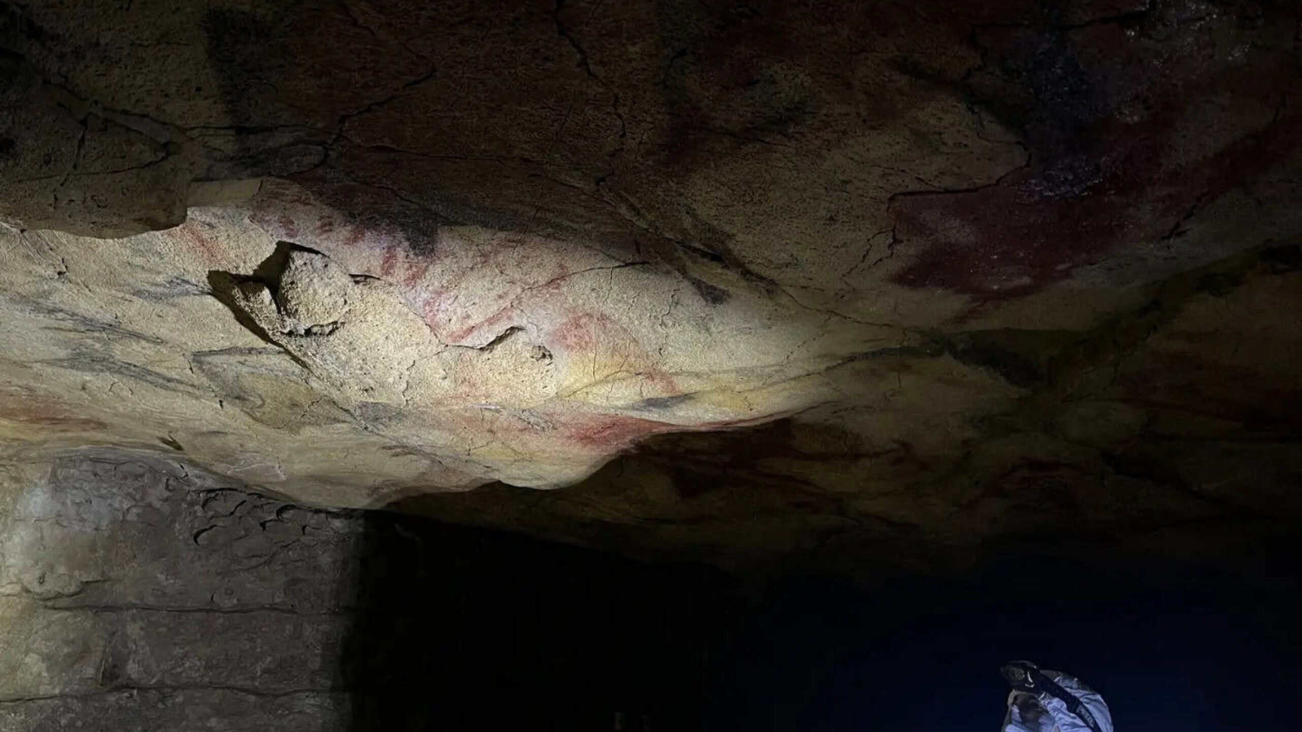 Die Höhlendecke von Altamira: Von hier stammen Pigmentproben, die auf uralte menschliche DNA untersucht wurden.
