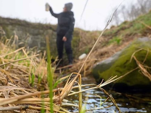 Messgebiet Demnitzer Mühlenfließ – hier erfassten Wissenschaftlerinnen und Wissenschaftler, wie Wasser durch die Landschaft fließt und Nitrat mit sich trägt.