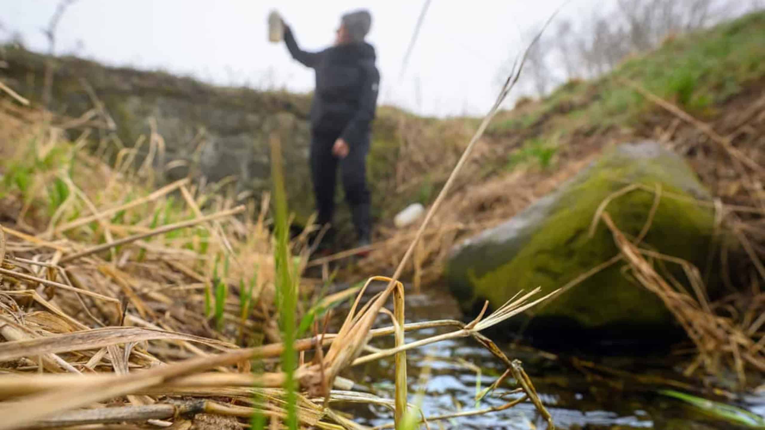 Messgebiet Demnitzer Mühlenfließ – hier erfassten Wissenschaftlerinnen und Wissenschaftler, wie Wasser durch die Landschaft fließt und Nitrat mit sich trägt.