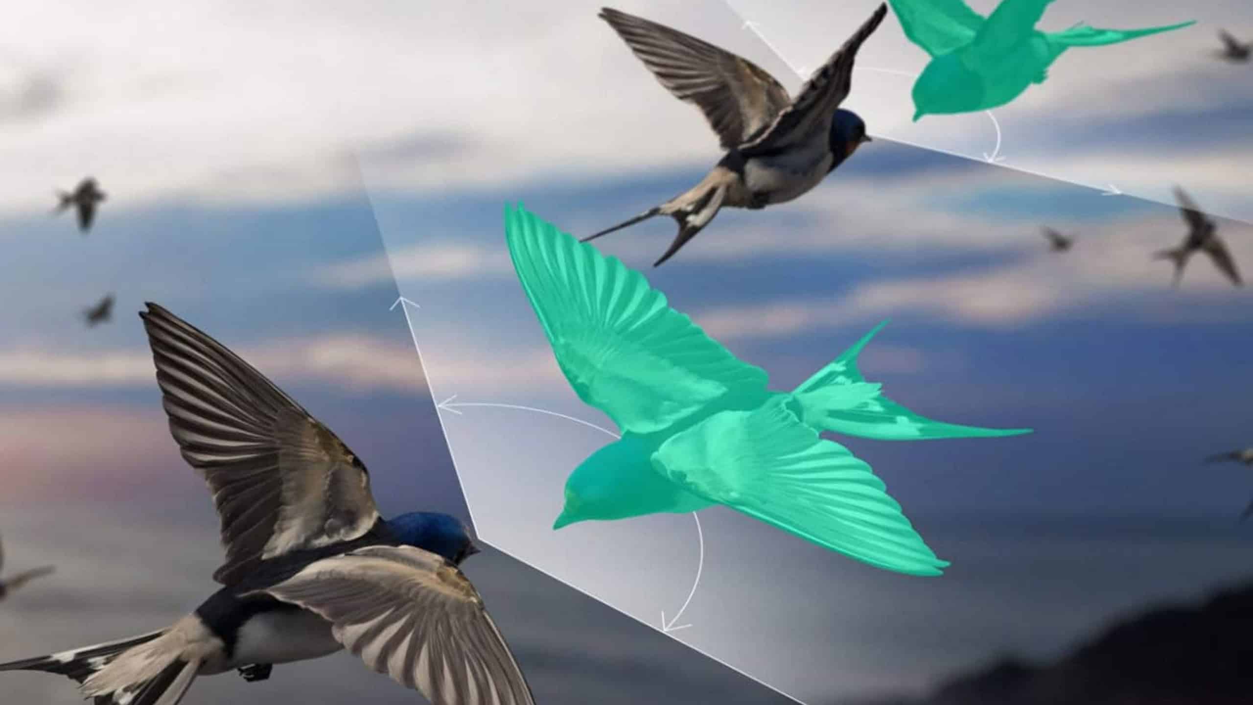 Ein unsichtbarer Begleiter: Der grüne Gegenvogel ist künstlich, aber entscheidend – er macht Vogelschwärme berechenbar.