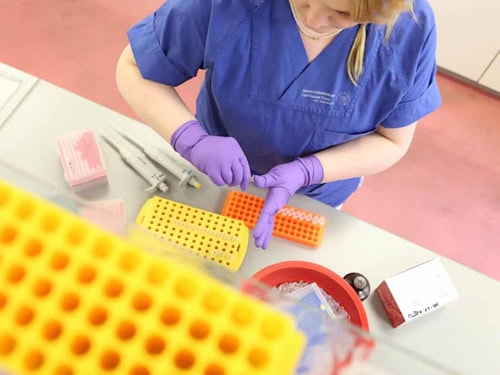 DNA-Isolation aus einer Gewebeprobe: Die BioBank Dresden bereitet biologisches Material für die medizinische Forschung auf. © UKDD