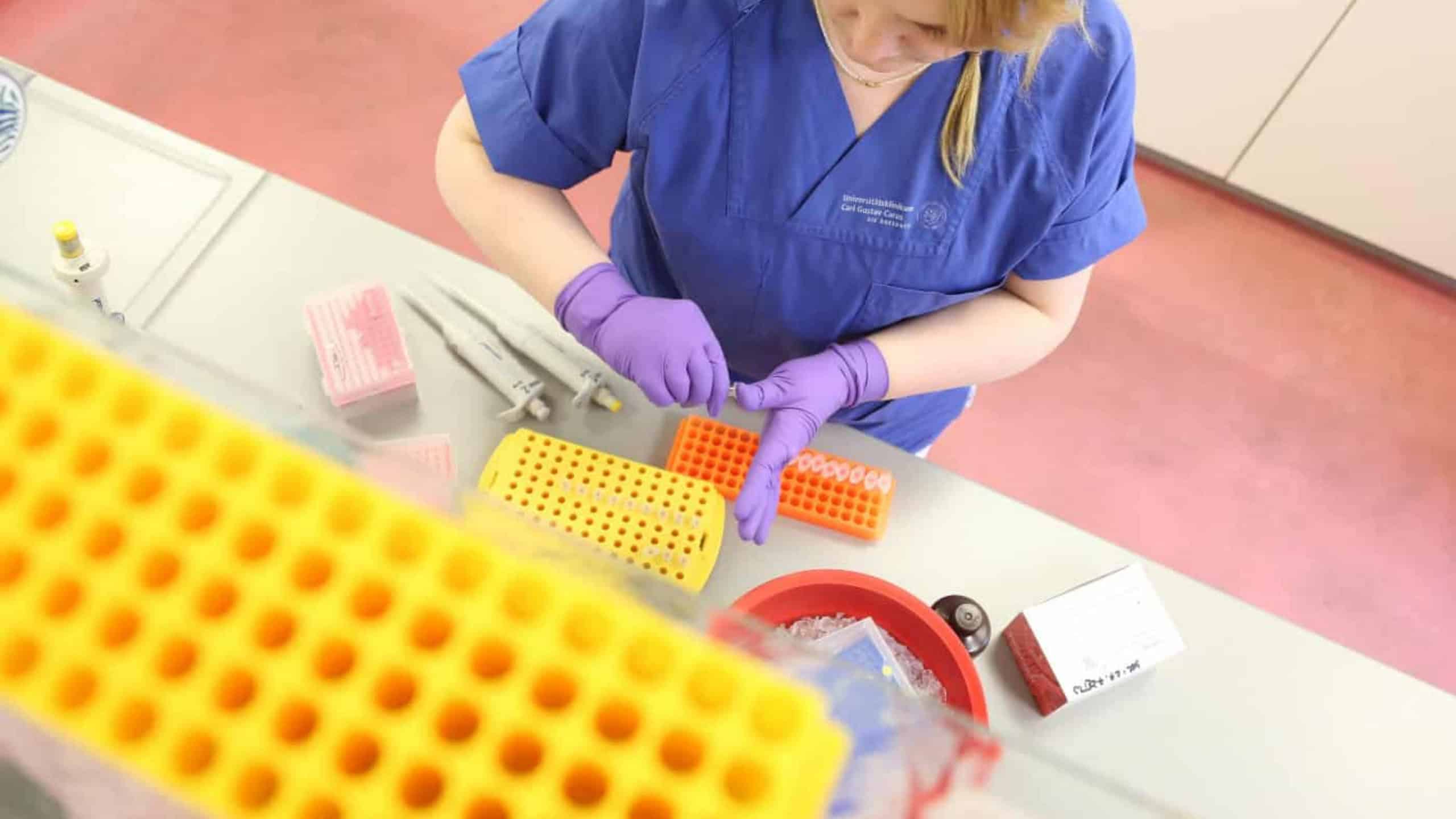 DNA-Isolation aus einer Gewebeprobe: Die BioBank Dresden bereitet biologisches Material für die medizinische Forschung auf. © UKDD