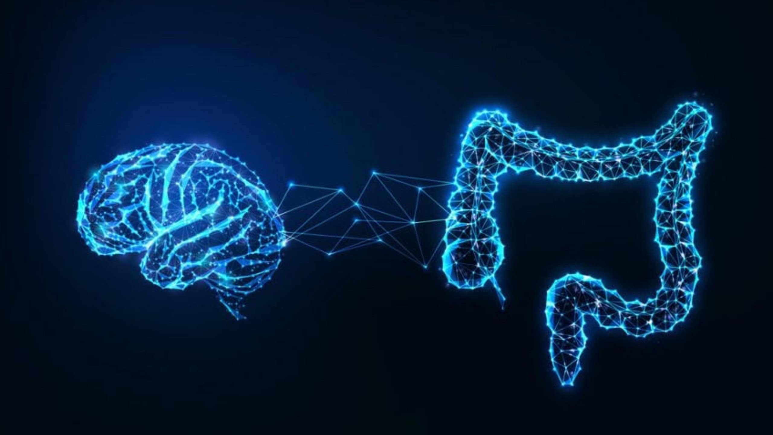Immunsystem, Darmbakterien, frühe Kindheit: Das „Nest", das das Gehirn eines Frühgeborenen schützt