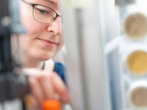 Masterstudentin Nele Jensen arbeitete mit am Deutschen Elektronen-Synchrotron: Forschung an historischen Kulturgütern mitten im Studium.