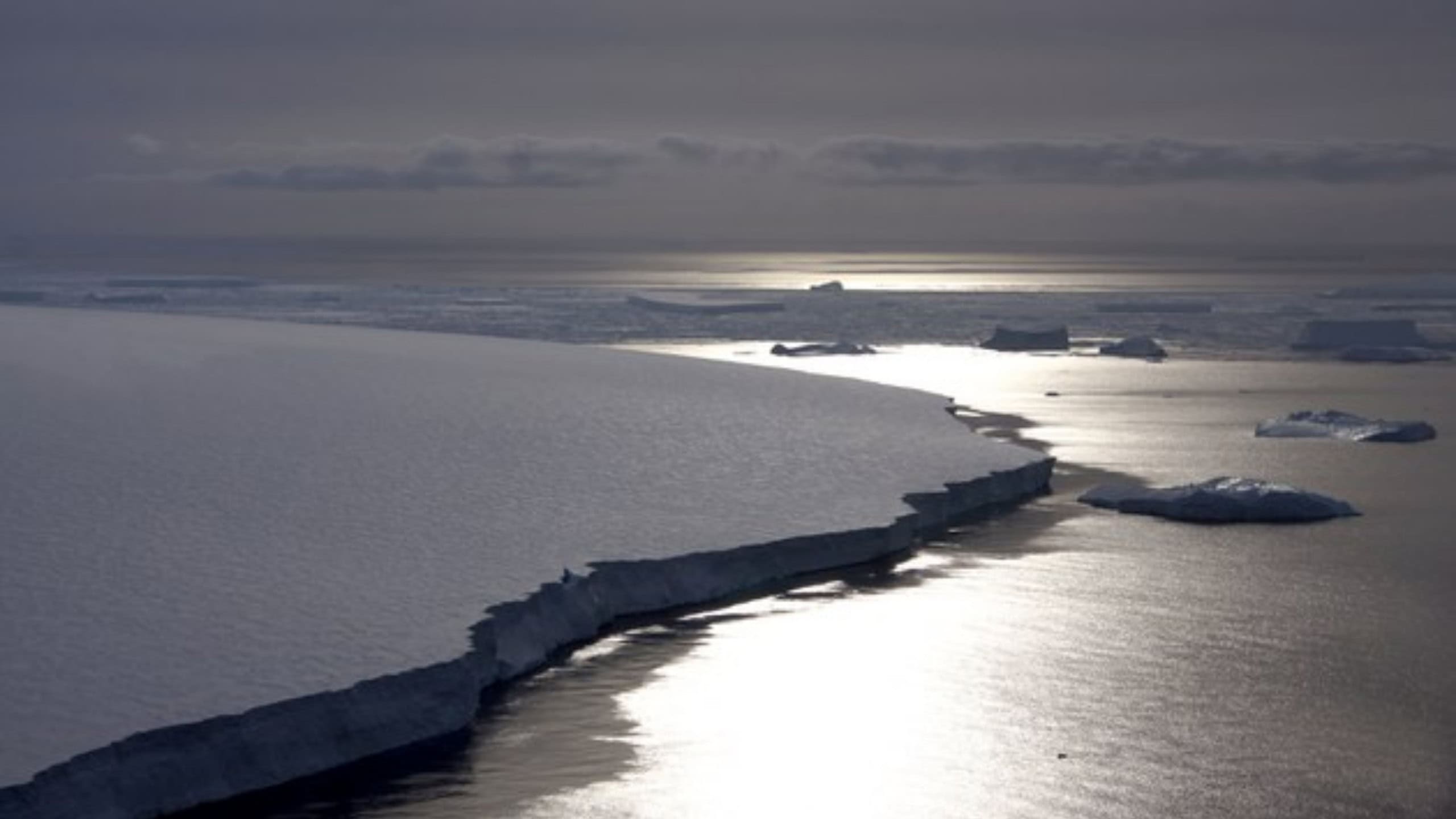 Luftaufnahme der Pine Island-Bucht in der Westantarktis