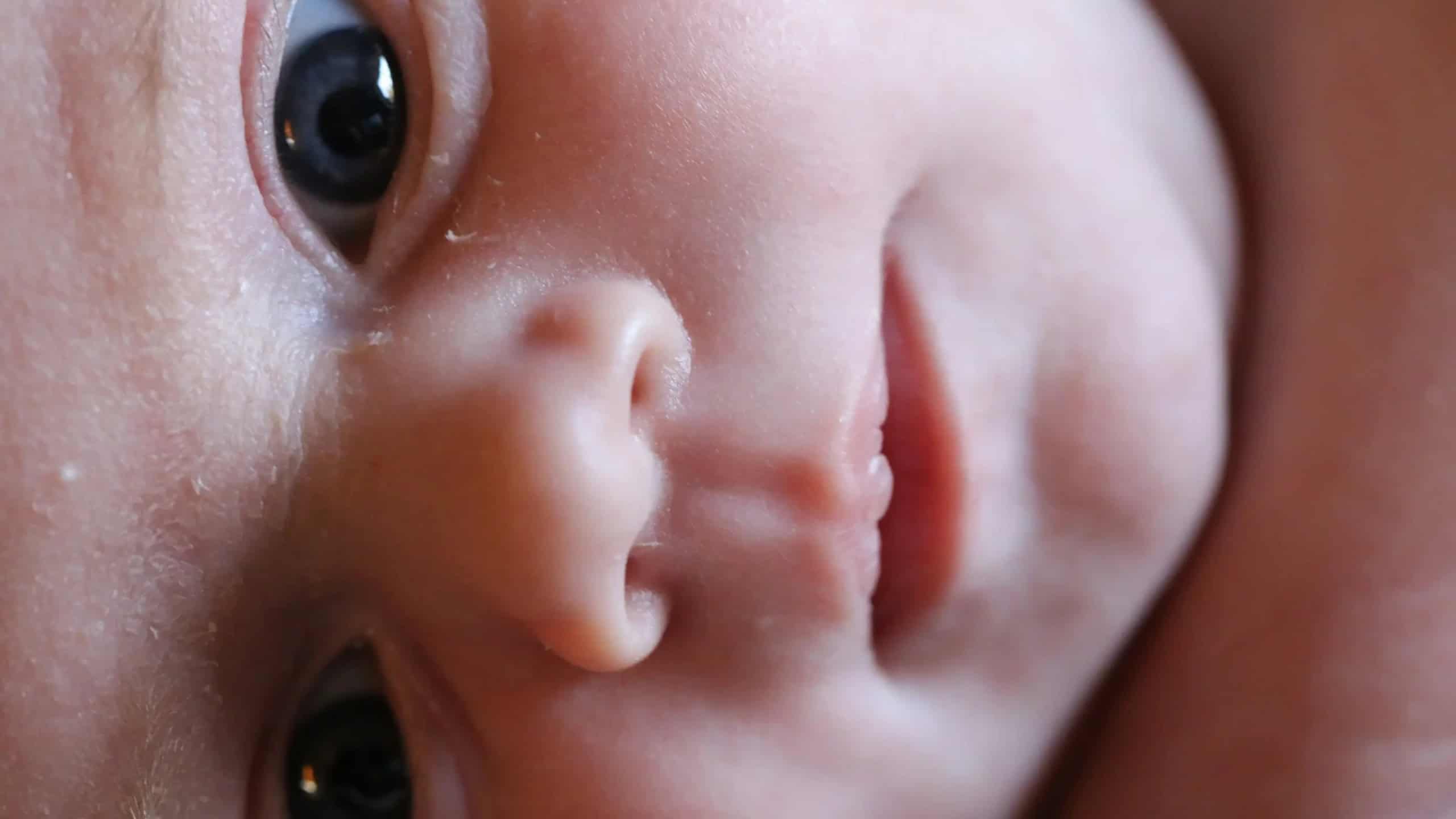 Close-up of a baby's face with its eyes open