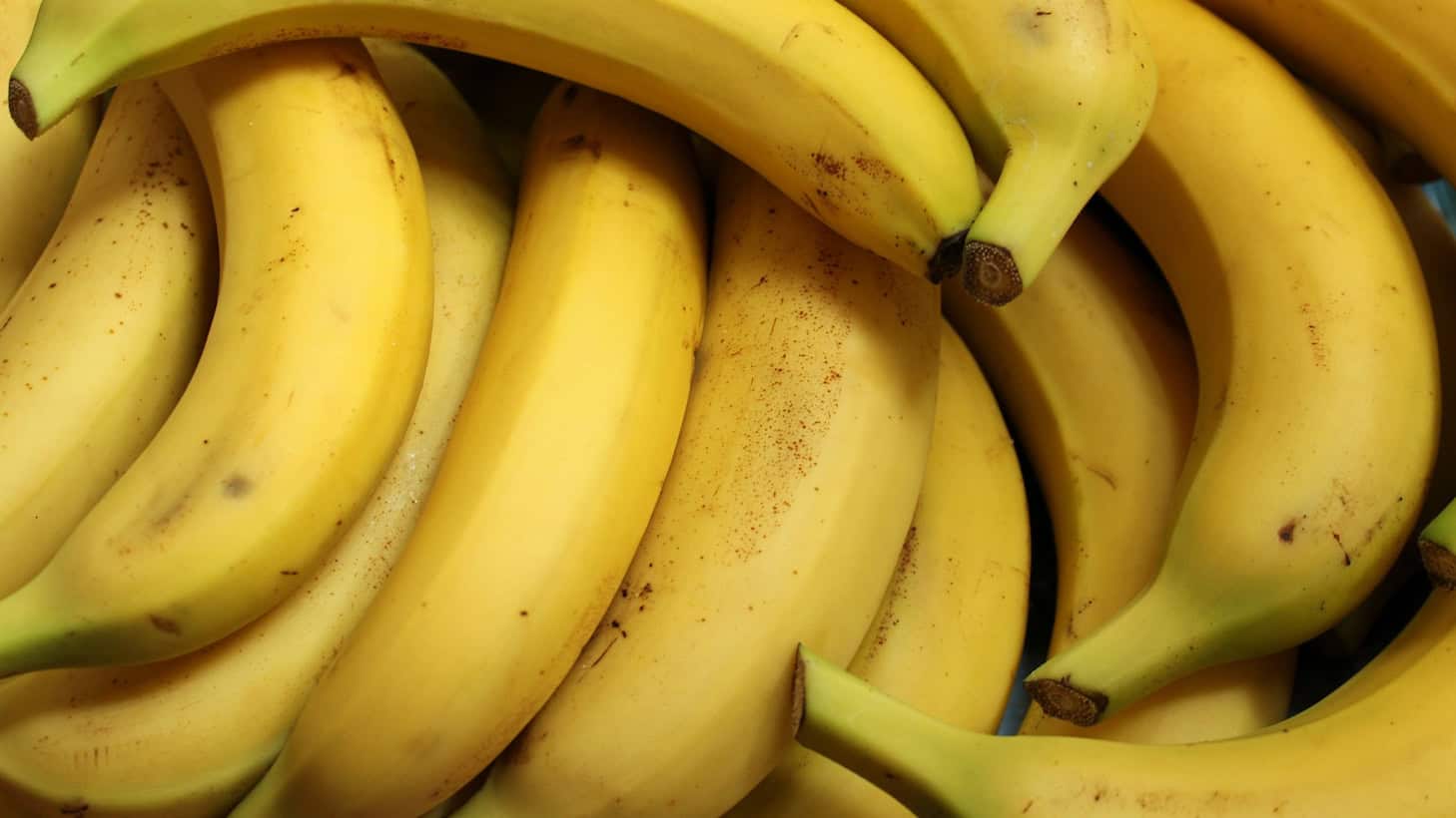Reife Bananen. Ein Bestandteil ihres typischen Aromas wird in Dresden zur Herstellung von Solarzellen erforscht.