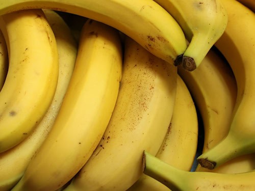 Reife Bananen. Ein Bestandteil ihres typischen Aromas wird in Dresden zur Herstellung von Solarzellen erforscht.
