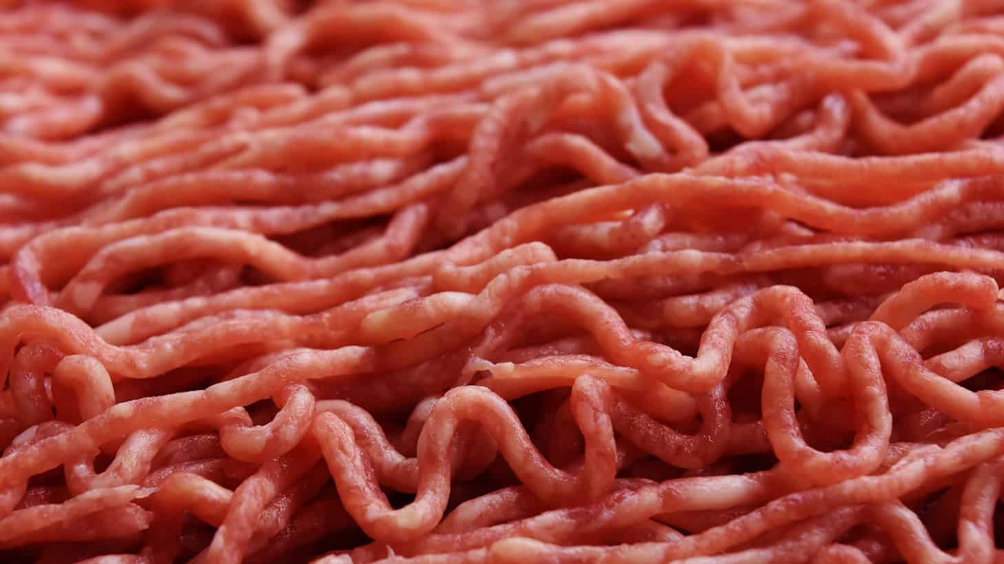 Rohes Hackfleisch aus herkömmlicher Fleischproduktion als Symbolbild für die Forschung zu Laborfleisch.