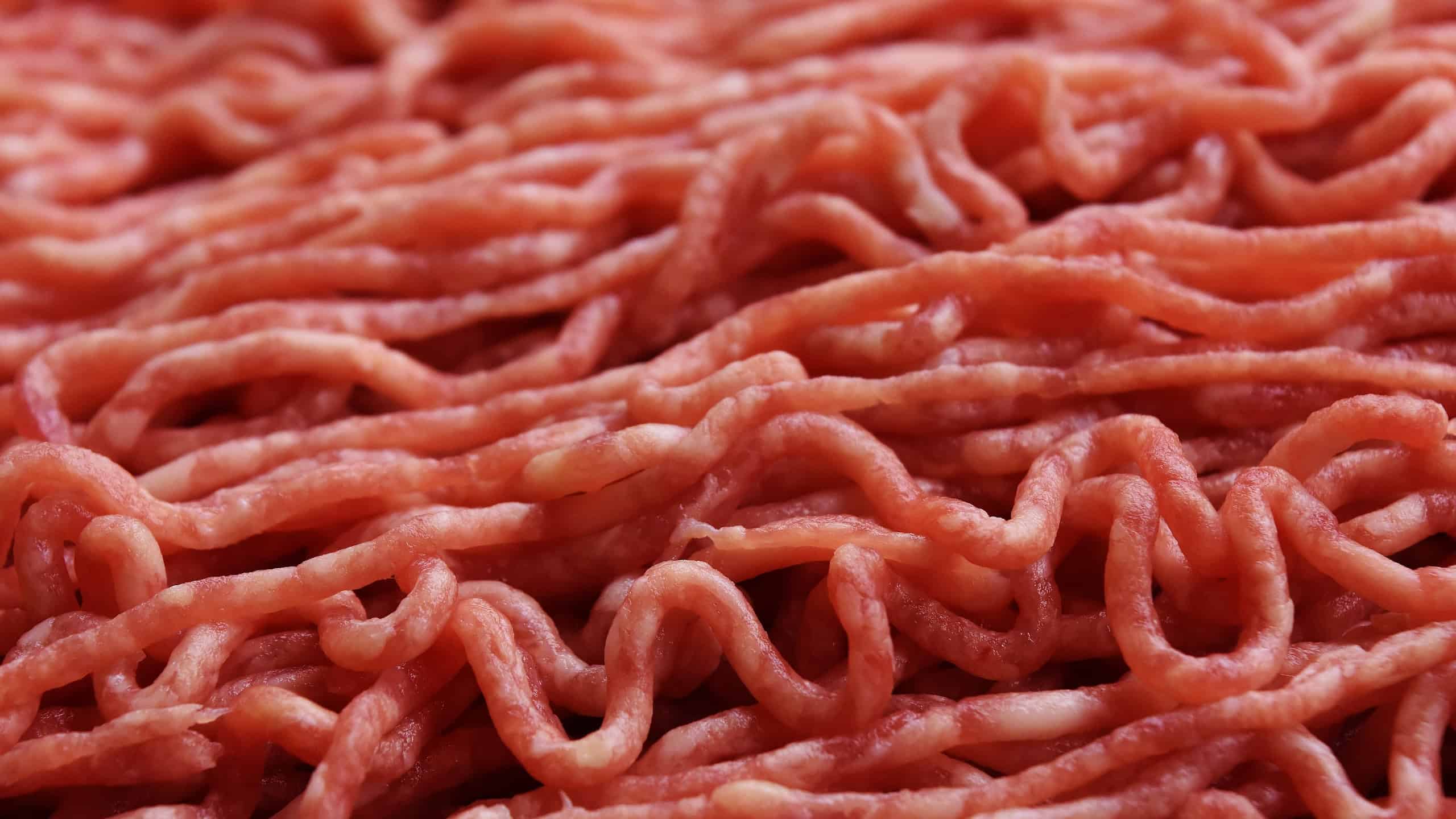 Rohes Hackfleisch aus herkömmlicher Fleischproduktion als Symbolbild für die Forschung zu Laborfleisch.