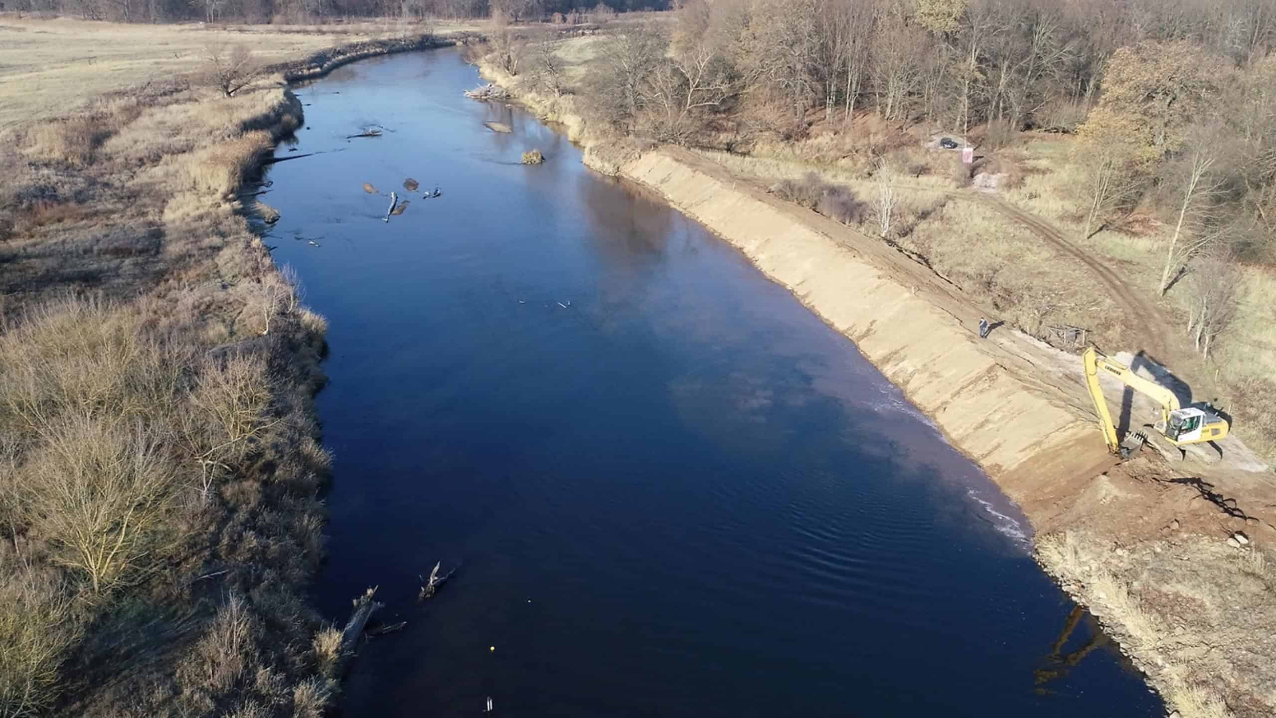 River restoration along the lower Mulde, where bank reinforcements have been removed.