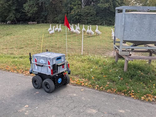 Lieferroboter ROSEE der TU Bergakademie Freiberg steht neben einer Gruppe Gänse auf einer Wiese.