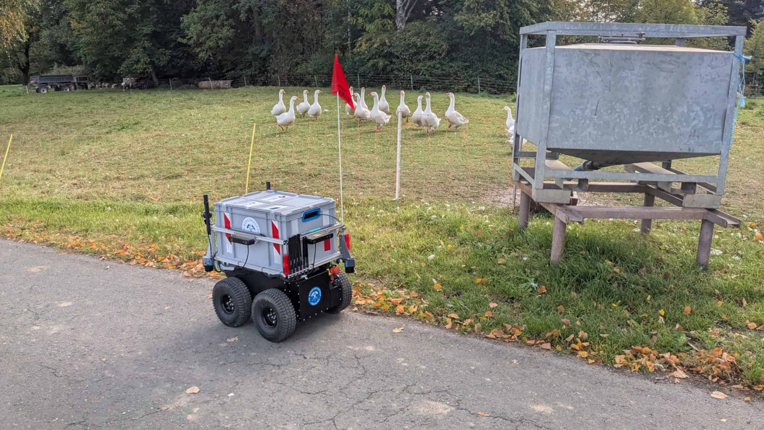 Lieferroboter ROSEE der TU Bergakademie Freiberg steht neben einer Gruppe Gänse auf einer Wiese.