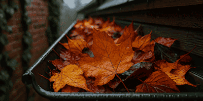 Herbstlaub in der Dachrinne: Ein kleines Detail mit großem Schadenspotenzial.