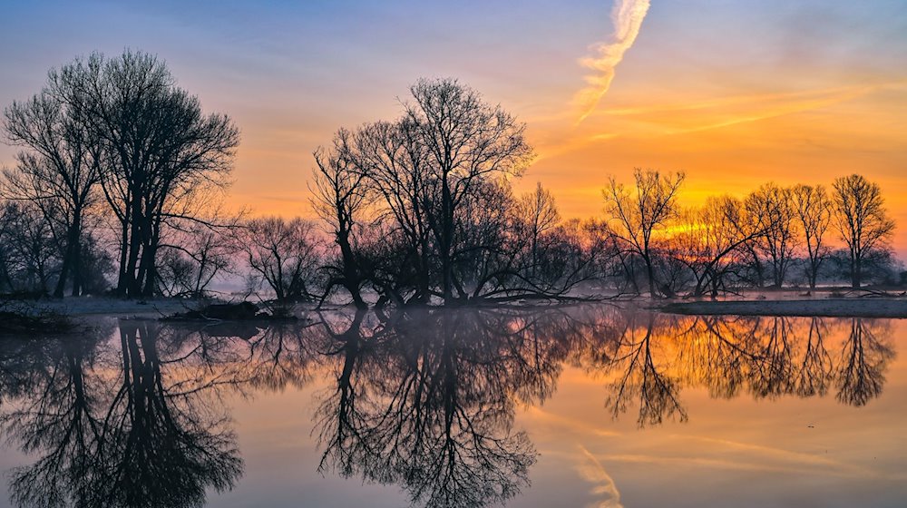 Sonnenaufgang im Überschwemmungsgebiet vom deutsch-polnischen Grenzfluss Oder, der derzeit Hochwasser führt und weite Teile der angrenzenden Flächen überflutet hat. / Foto: Patrick Pleul/dpa