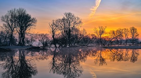 Sonnenaufgang im Überschwemmungsgebiet vom deutsch-polnischen Grenzfluss Oder, der derzeit Hochwasser führt und weite Teile der angrenzenden Flächen überflutet hat. / Foto: Patrick Pleul/dpa